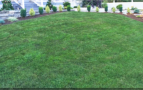 Lawncare in Northern NJ